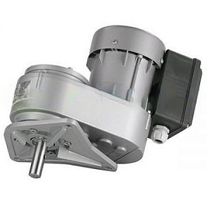Моторредуктор R1C245NSBR